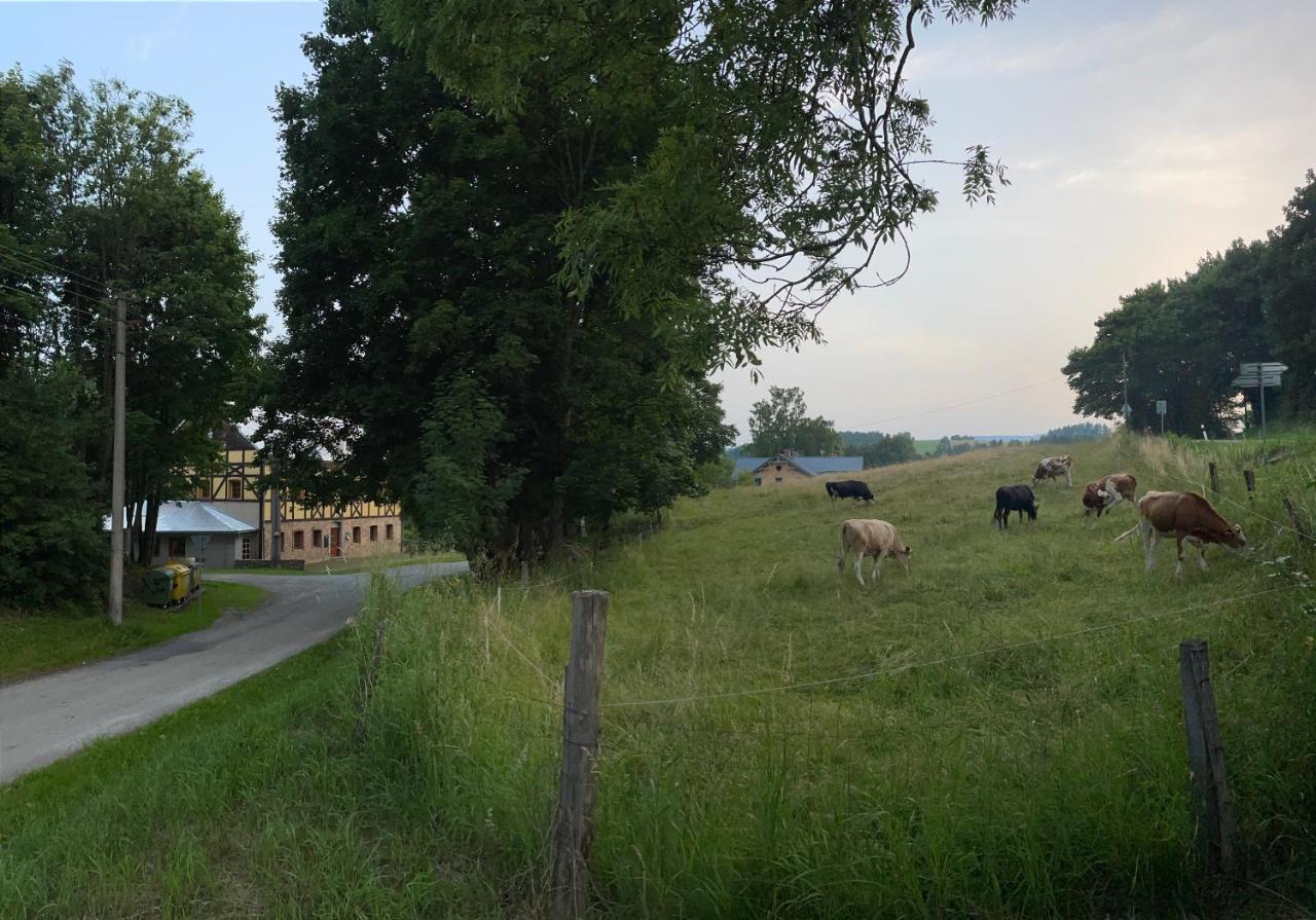 Penzion Stará Škola Vikantice Esterno foto